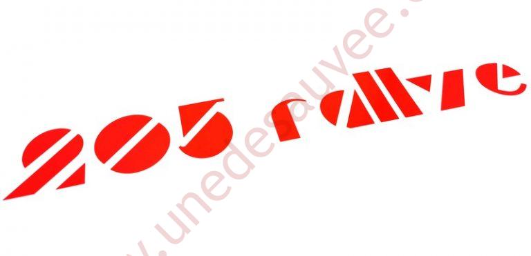 Lot De 10 Stickers Autocollants Pour Volant Peugeot 205 Rallye - Reproduction Design D'origine