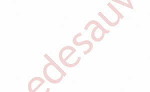 Enjoliveurs custode AR