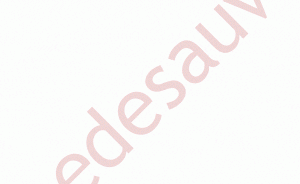 Kit 8 liseres rouges Peugeot 205 GTI CTI baguette aluminium
