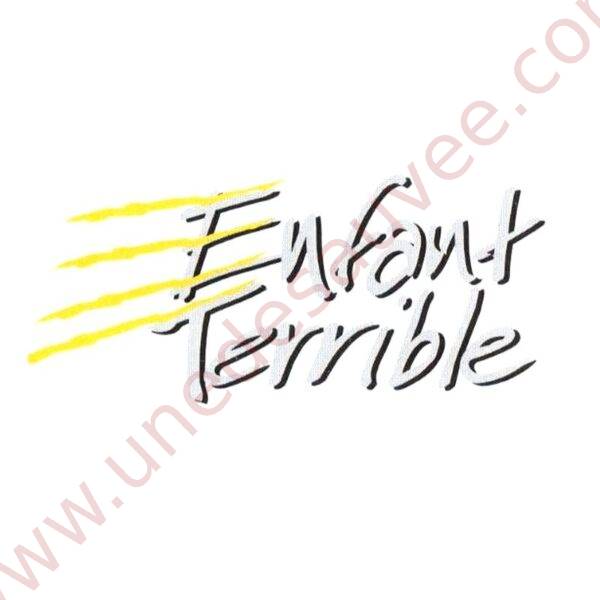 KIT DE 2 AUTOCOLLANTS STICKERS DE COULEURS JAUNE, GRIS ET NOIR " ENFANT TERRIBLE " POUR PEUGEOT 106