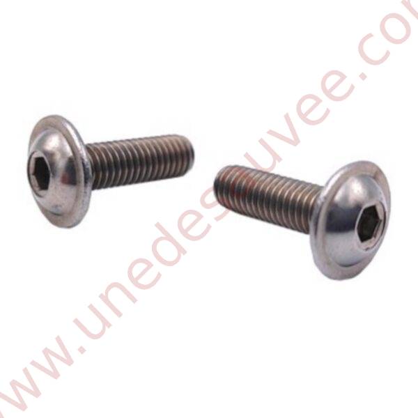 KIT DE 2 VIS DE POIGNEE DU TOIT OUVRANT POUR PEUGEOT 309 205 GTI CTI RALLYE