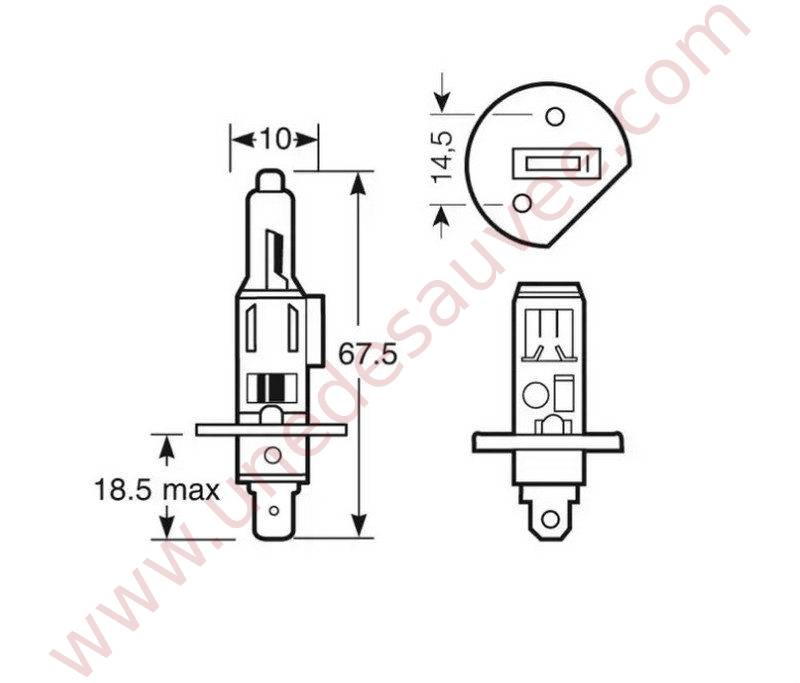 AMPOULE A IODE 12 VOLTS DE TYPE H1 - 55 WATTS