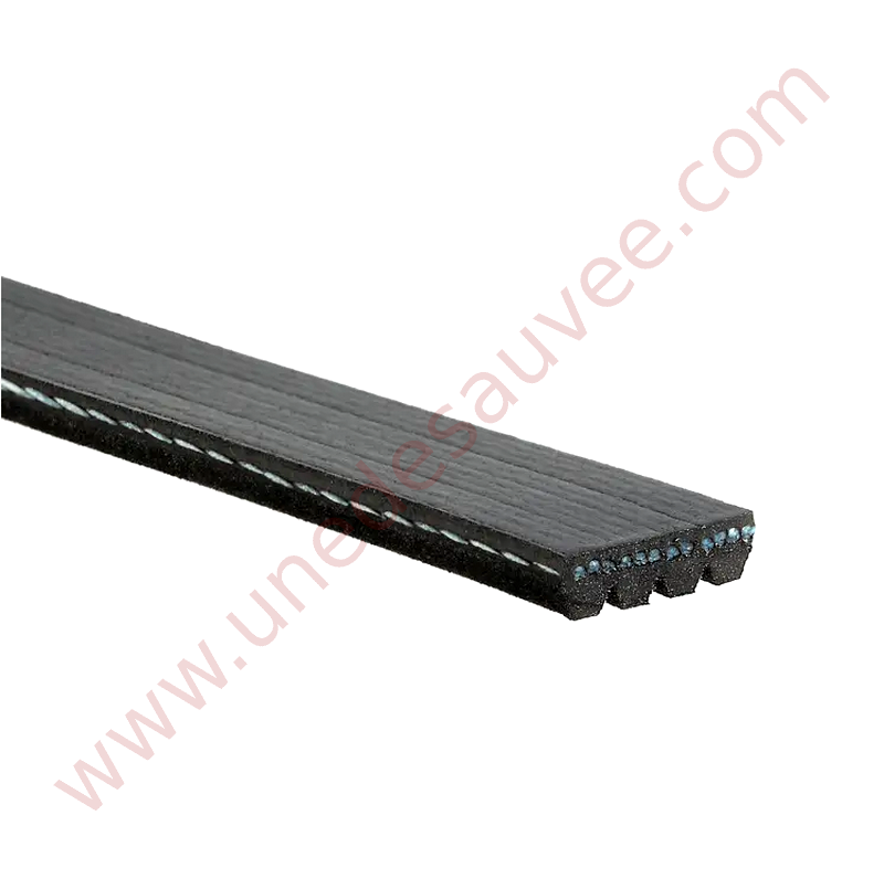 COURROIE D'ACCESSOIRE - ALTERNATEUR POUR PEUGEOT 205 305 309 405 AVEC MOTEUR DIESEL / TURBO DIESEL
