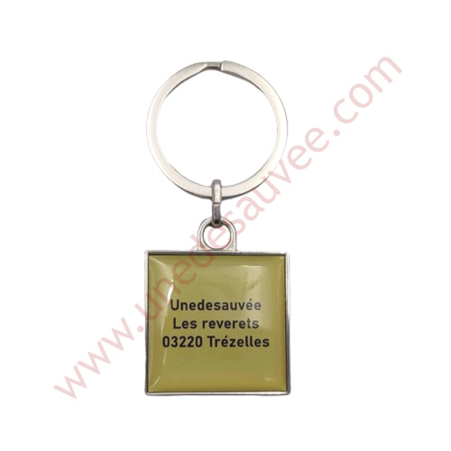 Keychain Unedesauee Citroen Ax Sport Bx Gti 16 Zx Volcan